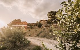 Casale 700