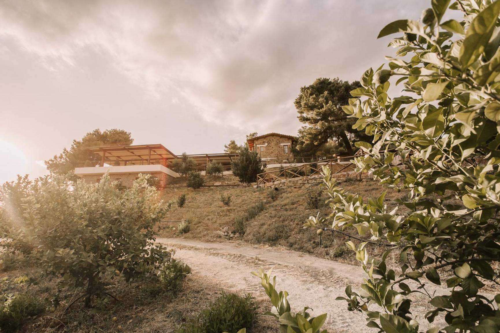 Bed and Breakfast Casale 700 Amendolara Exterior foto