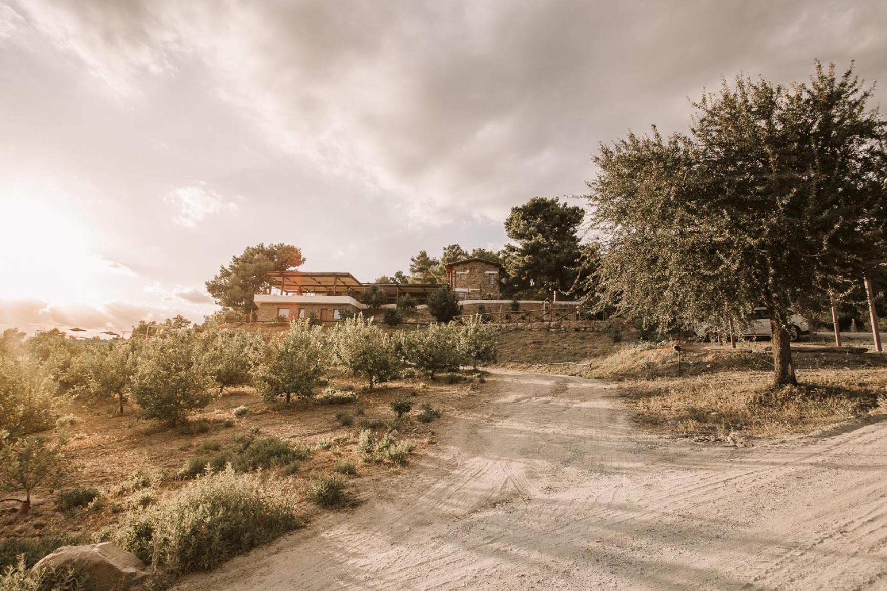 Bed and Breakfast Casale 700 Amendolara Exterior foto